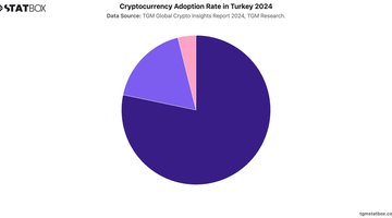 Cryptocurrency Adoption Rate in Turkey 2024 | Chart | TGM StatBox.jpeg
