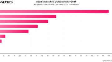 Most Common Pets Owned in Turkey 2024 | Chart | TGM StatBox.jpeg
