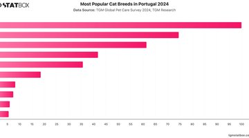 Most Popular Cat Breeds in Portugal 2024 | Chart | TGM StatBox.jpeg
