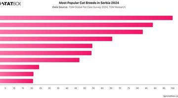 Most Popular Cat Breeds in Serbia 2024 | Chart | TGM StatBox.jpeg