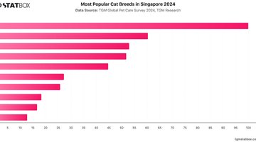 Most Popular Cat Breeds in Singapore 2024 | Chart | TGM StatBox.jpeg