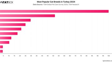 Most Popular Cat Breeds in Turkey 2024 | Chart | TGM StatBox.jpeg
