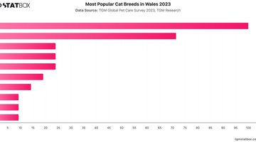 Most Popular Cat Breeds in Wales 2023 | Chart | TGM StatBox.jpeg