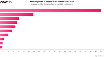 Most Popular Cat Breeds in the Netherlands 2024 | Chart | TGM StatBox.jpeg