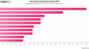 Most Popular Dog Breeds Globally 2024 | Chart | TGM StatBox.jpeg