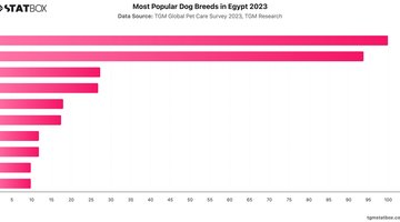 Most Popular Dog Breeds in Egypt 2023 | Chart | TGM StatBox.jpeg