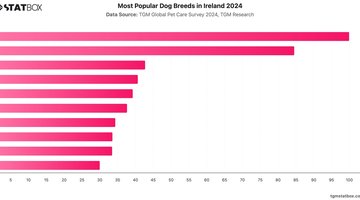 Most Popular Dog Breeds in Ireland 2024 | Chart | TGM StatBox.jpeg