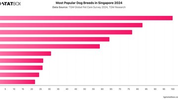 Most Popular Dog Breeds in Singapore 2024 | Chart | TGM StatBox.jpeg