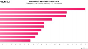Most Popular Dog Breeds in Spain 2024 | Chart | TGM StatBox.jpeg