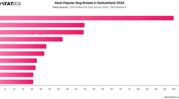 Most Popular Dog Breeds in Switzerland 2024 | Chart | TGM StatBox.jpeg
