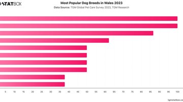Most Popular Dog Breeds in Wales 2023 | Chart | TGM StatBox.jpeg