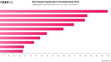 Most Popular Dog Breeds in the Netherlands 2024 | Chart | TGM StatBox.jpeg