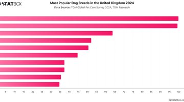 Most Popular Dog Breeds in the United Kingdom 2024 | Chart | TGM StatBox.jpeg