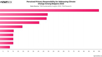 Perceived Primary Responsibility for Addressing Climate Change Among Belgians 2025 | Chart | TGM StatBox.jpeg