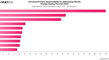 Perceived Primary Responsibility for Addressing Climate Change Among The Irish 2025 | Chart | TGM StatBox.jpeg