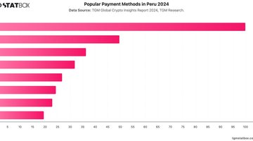 Popular Payment Methods in Peru 2024 | Chart | TGM StatBox.jpeg