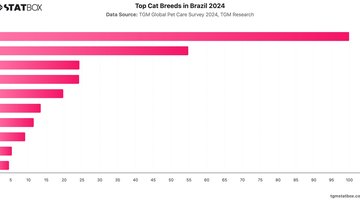 Top Cat Breeds in Brazil 2024 | Chart | TGM StatBox.jpeg