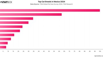Top Cat Breeds in Mexico 2024 | Chart | TGM StatBox.jpeg
