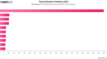 Top Cat Breeds in Pakistan 2023 | Chart | TGM StatBox.jpeg
