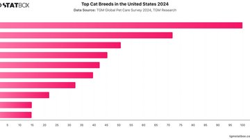 Top Cat Breeds in the United States 2024 | Chart | TGM StatBox.jpeg