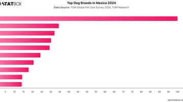 Top Dog Breeds in Mexico 2024 | Chart | TGM StatBox.jpeg