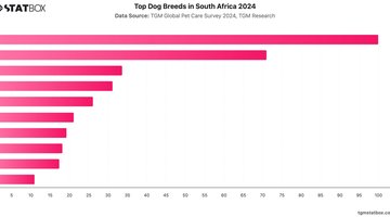 Top Dog Breeds in South Africa 2024 | Chart | TGM StatBox.jpeg