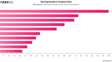 Top Dog Breeds in Thailand 2023 | Chart | TGM StatBox.jpeg