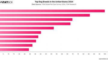 Top Dog Breeds in the United States 2024 | Chart | TGM StatBox.jpeg