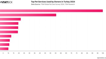 Top Pet Services Used by Owners in Turkey 2024 | Chart | TGM StatBox.jpeg