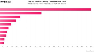 Top Pet Services Used by Owners in Chile 2024 | Chart | TGM StatBox.jpeg