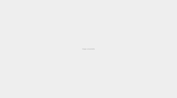 Sustainability Report: Insights in Argentina | Report | TGM StatBox.png