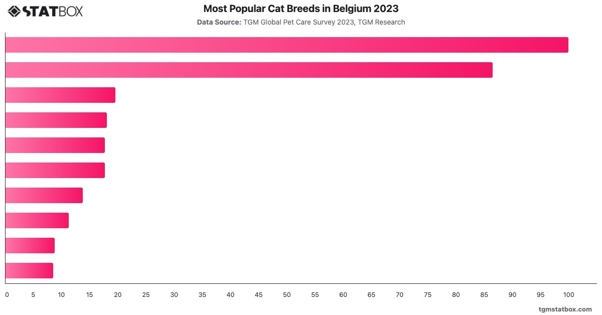 Most Popular Cat Breeds in Belgium 2023|Chart|TGM StatBox