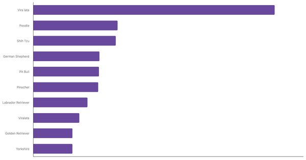 Top Dog Breeds in Brazil 2024 (locked) |Chart|TGM StatBox