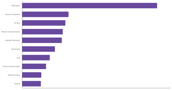 Top Dog Breeds in Mexico 2024 (locked) |Chart|TGM StatBox