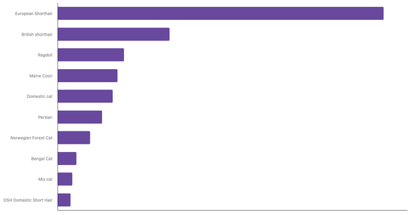 Most Popular Cat Breeds in the Netherlands 2024 (locked) |Chart|TGM StatBox