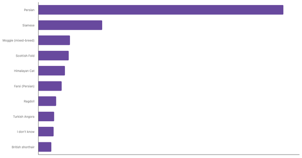 Most Popular Cat Breeds in Saudi Arabia 2024 (locked) |Chart|TGM StatBox