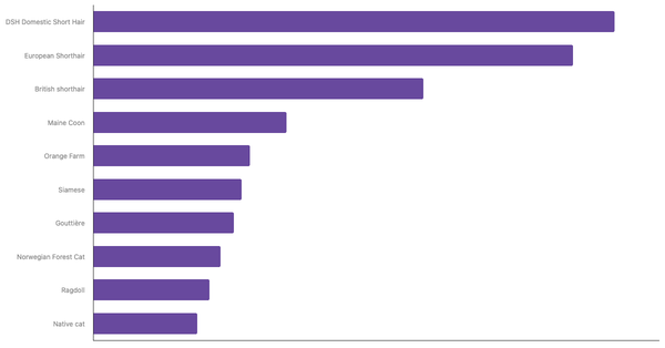 Most Popular Cat Breeds in Switzerland 2024 (locked) |Chart|TGM StatBox