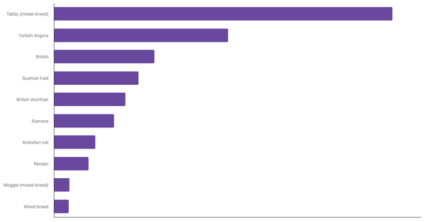 Most Popular Cat Breeds in Turkey 2024 (locked) |Chart|TGM StatBox