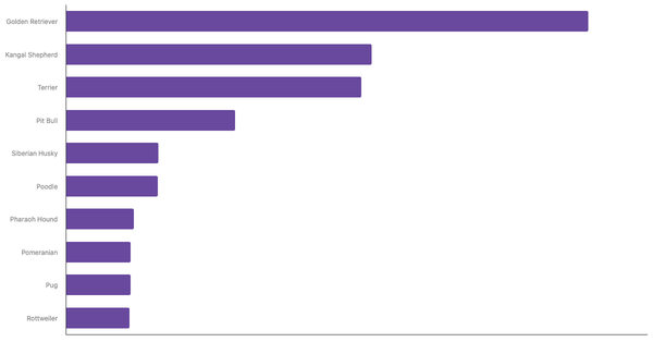 Most Popular Dog Breeds in Turkey 2024 (locked) |Chart|TGM StatBox