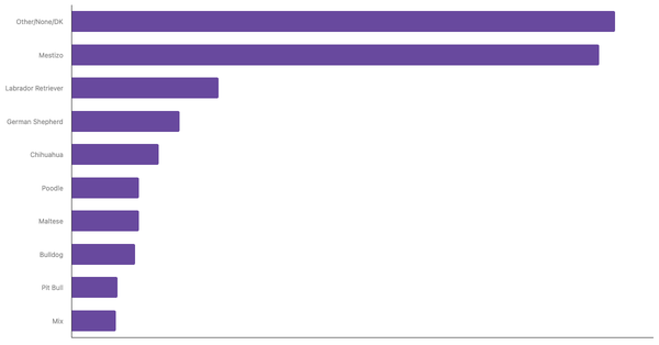 Most Popular Dog Breeds in Italy 2023 (locked) |Chart|TGM StatBox