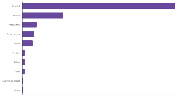 Most Popular Cat Breeds in Morocco 2023 (locked) |Chart|TGM StatBox