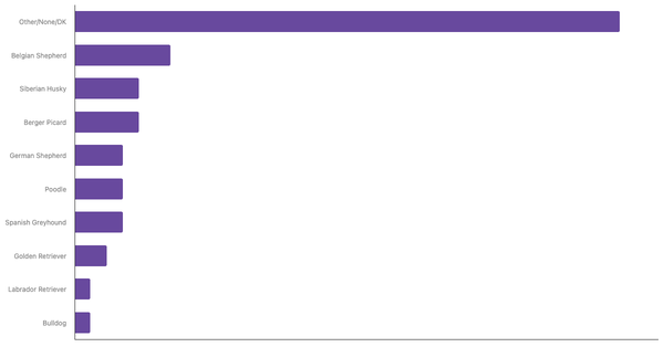 Most Popular Dog Breeds in Morocco 2023 (locked) |Chart|TGM StatBox