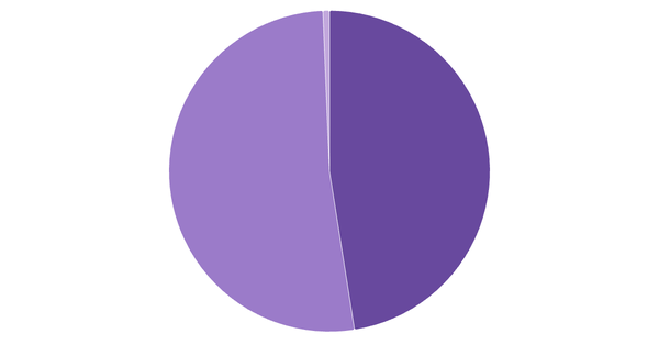 Cryptocurrency Adoption Rate in South Africa 2024 (locked) |Chart|TGM StatBox